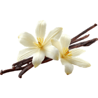 Vanilla