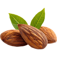 Almond
