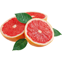 Grapefruit