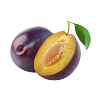 Plum