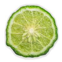 Bergamot